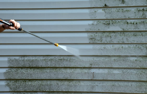 Best House Pressure Washing  in Raymond, MS