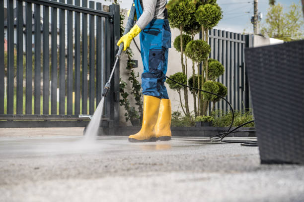 Best Best Pressure Washing Companies  in Raymond, MS