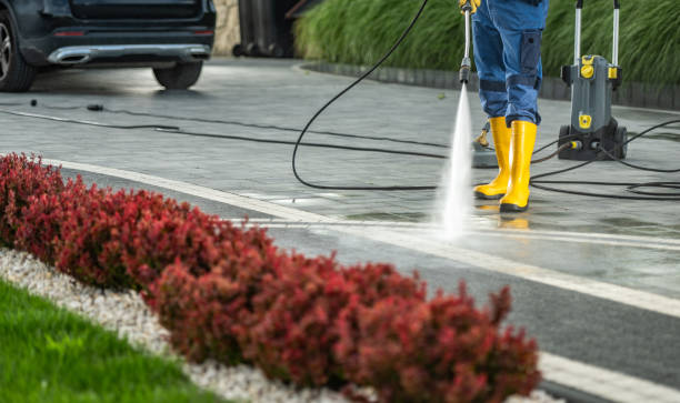 Best Roof Pressure Washing  in Raymond, MS