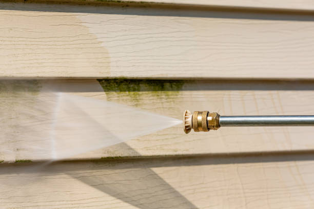 Best Affordable Power Washing  in Raymond, MS